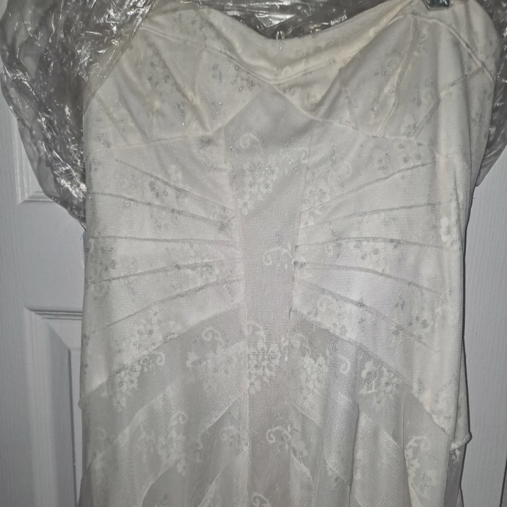 Off white with silver design BCBG Maxazra wedding dress
